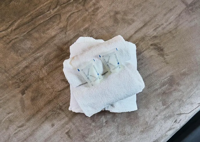 Ng Prestige - Tv - Netflix - Wifi * Tourcoing